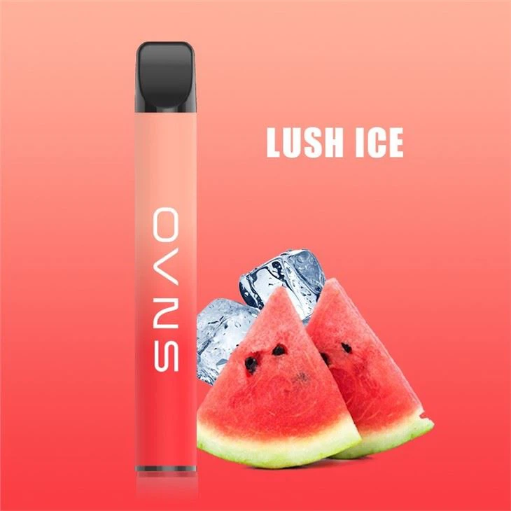 500 Puff Disposable Vape