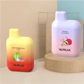 5000 Puffs Disposable Vape Pod