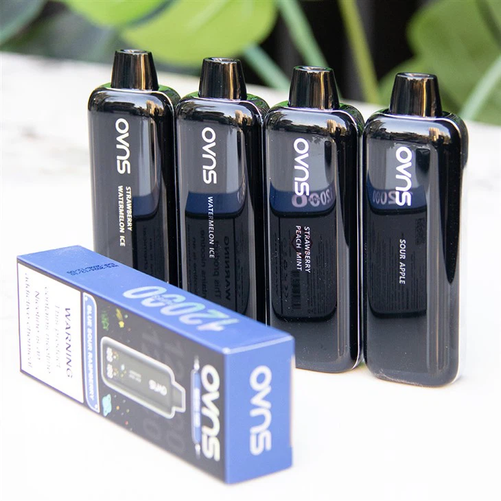 Best Popular Disposable E-Cigarette Vape Brand 2025 Best Popular Disposable E-Cigarette Vape Brand 2025